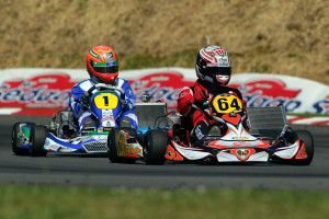 2013 CIK Trophy of New Zealand