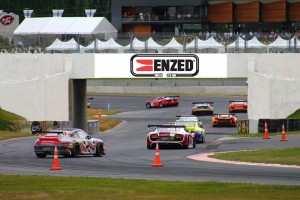 Highlands Motorsport Park's new ENZED bridge
